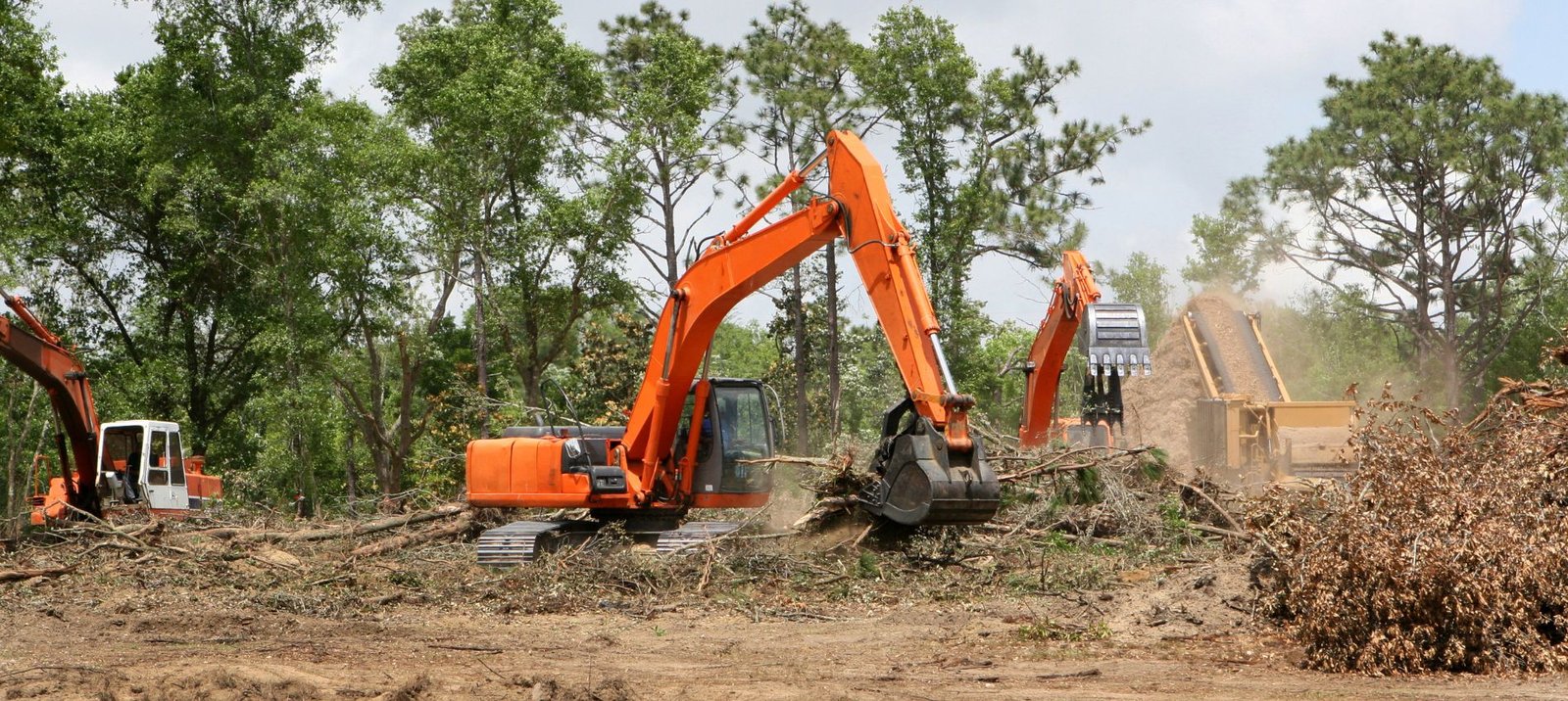 Land Clearing Image