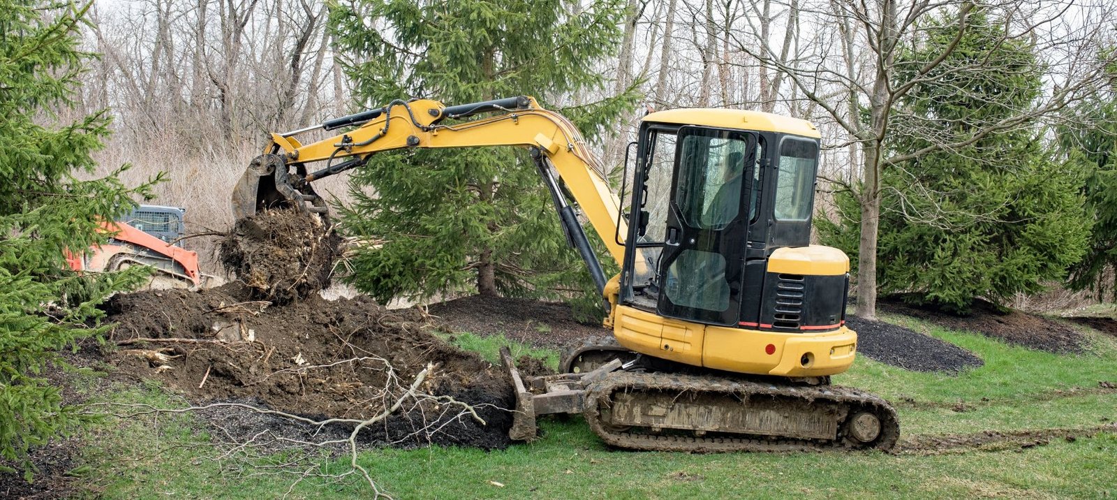 Tree Removal Image