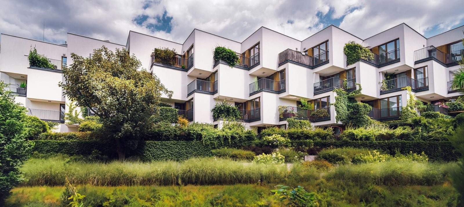 Tree Structure Image