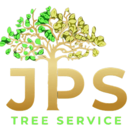 Jp's Logo