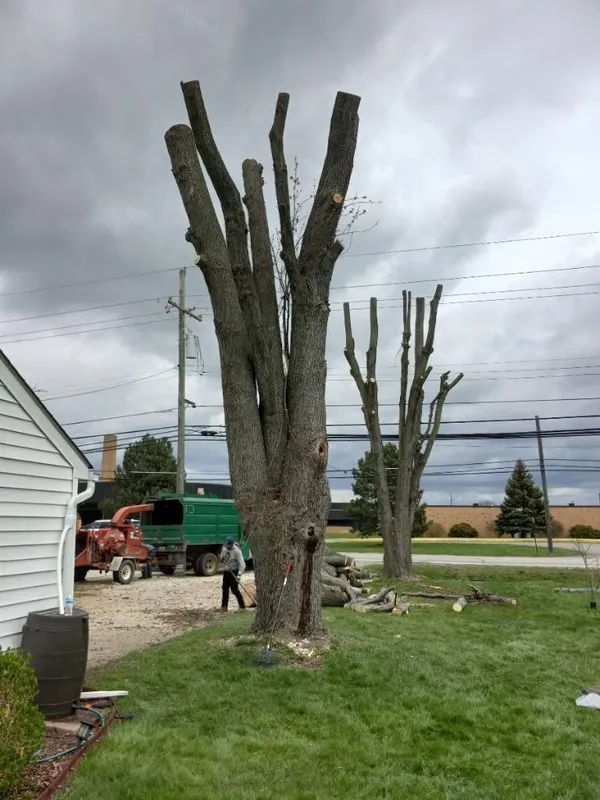 Photo+Jun+01-+6+50+54+PM-34d20cc3-800h