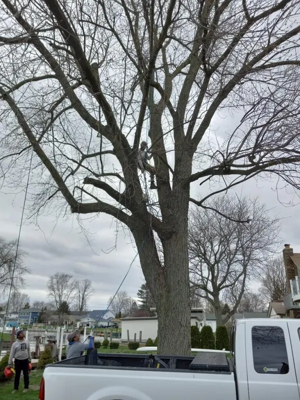 Photo+Jun+01-+6+51+00+PM-3ad9aad0-800h