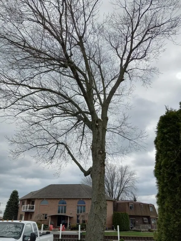 Photo+Jun+01-+6+51+09+PM-f1b888ac-800h