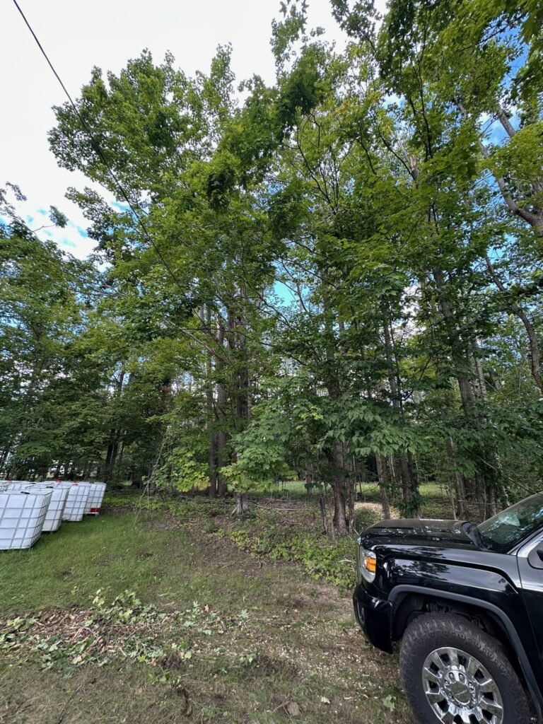 Commercial Grounds Maintenance Services | JPS Tree Services